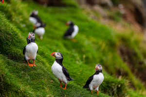 Leica Photo Adventure: Faroe Islands