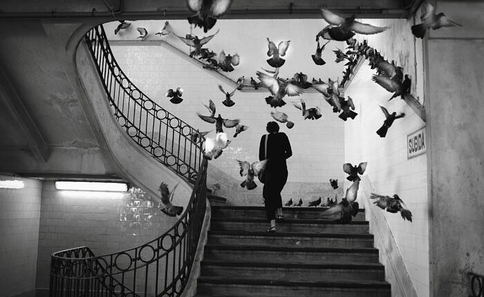 Lisbon Street Photography Workshop