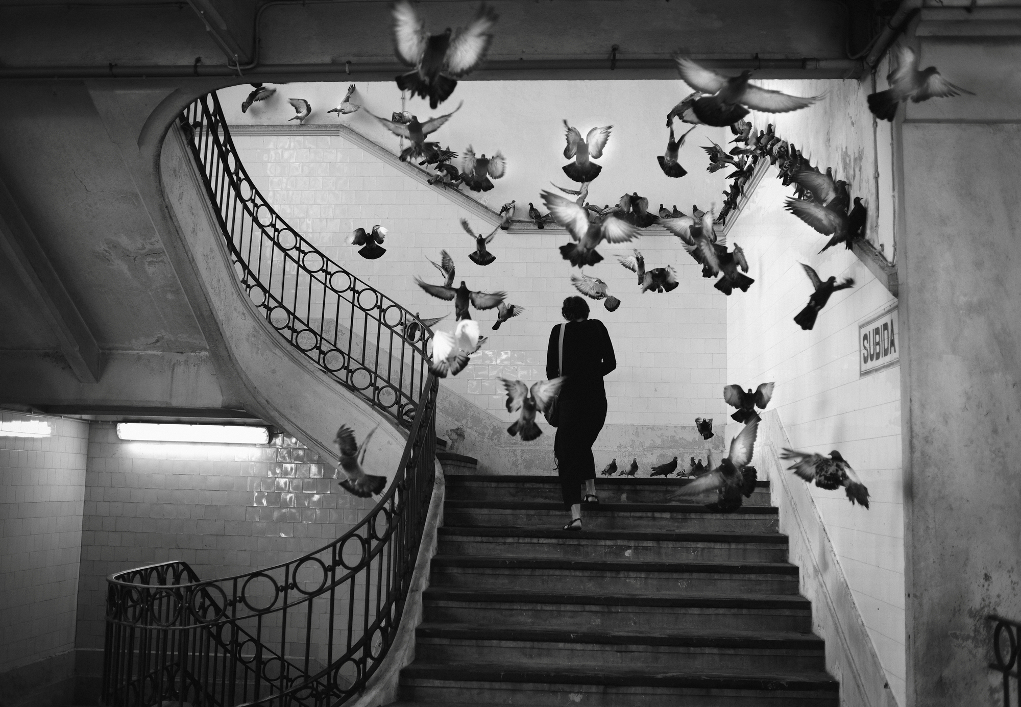 Lisbon Street Photography Workshop