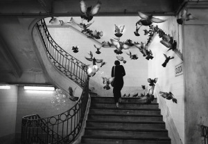 Lisbon Street Photography Workshop