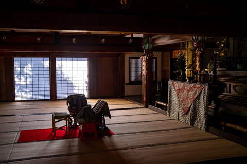 Synthesis & Portfolio Review