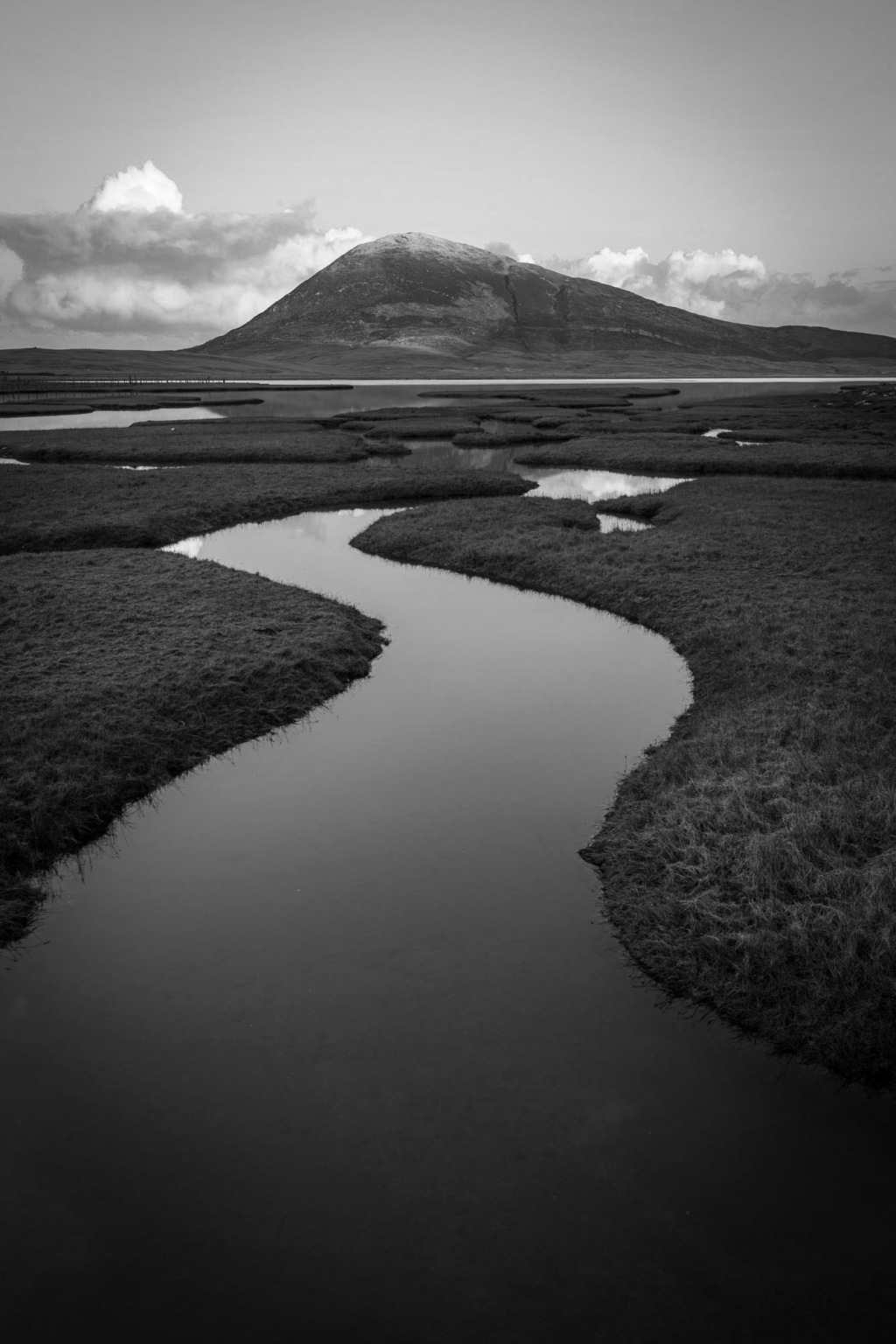 MMC_9194 2-bw