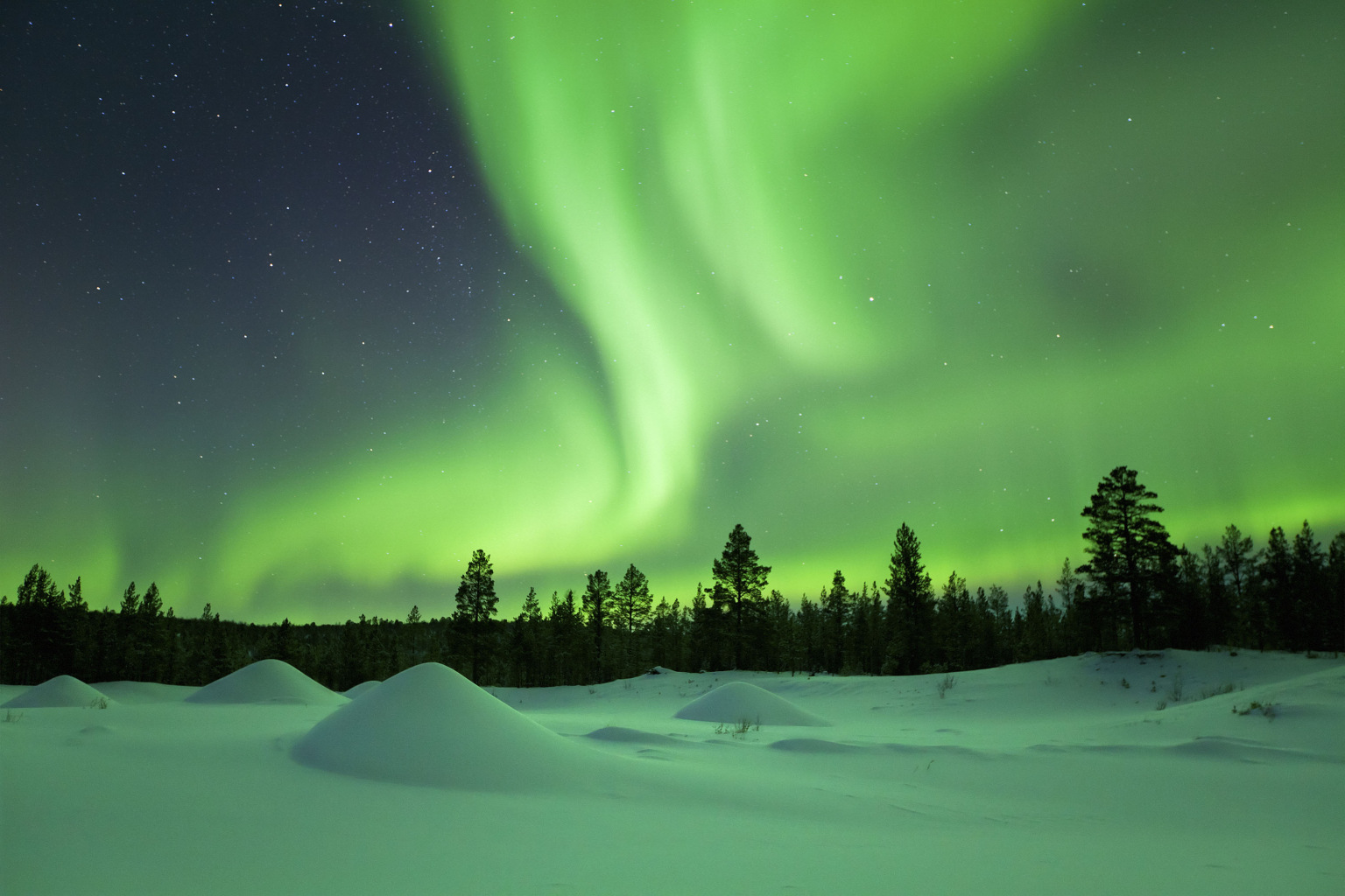 shutterstock_305354708web-scaled.jpg